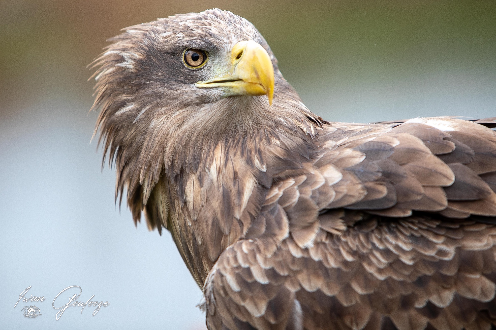 1DX45733 28 november 2021 1432 56